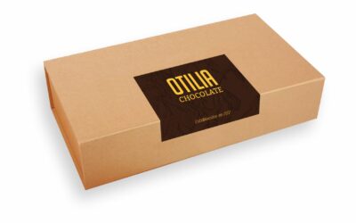 GIFT BOX DE CHOCOLATES